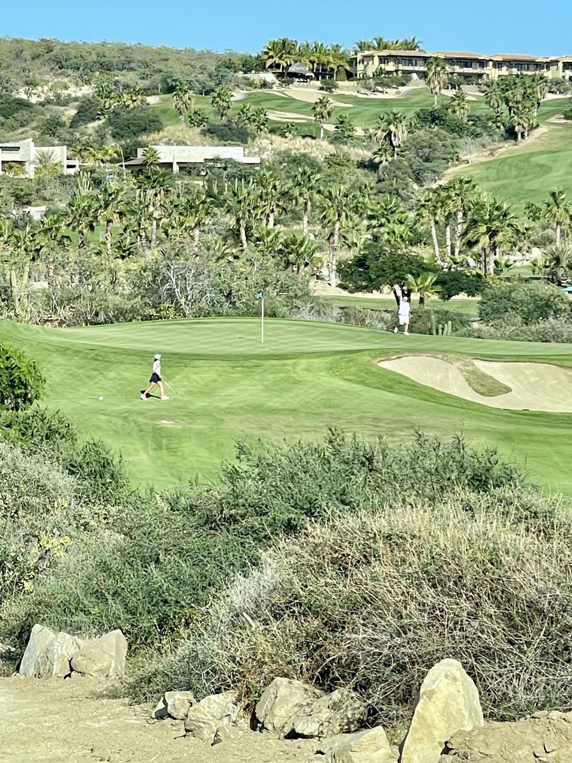 Golf course in Los Cabos